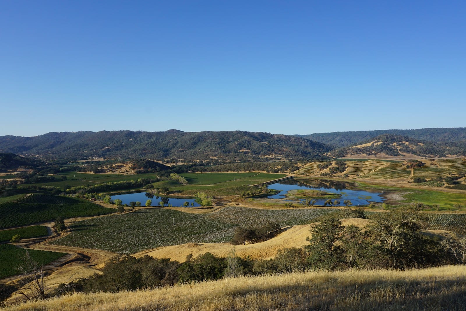 Dollarhide Ranch