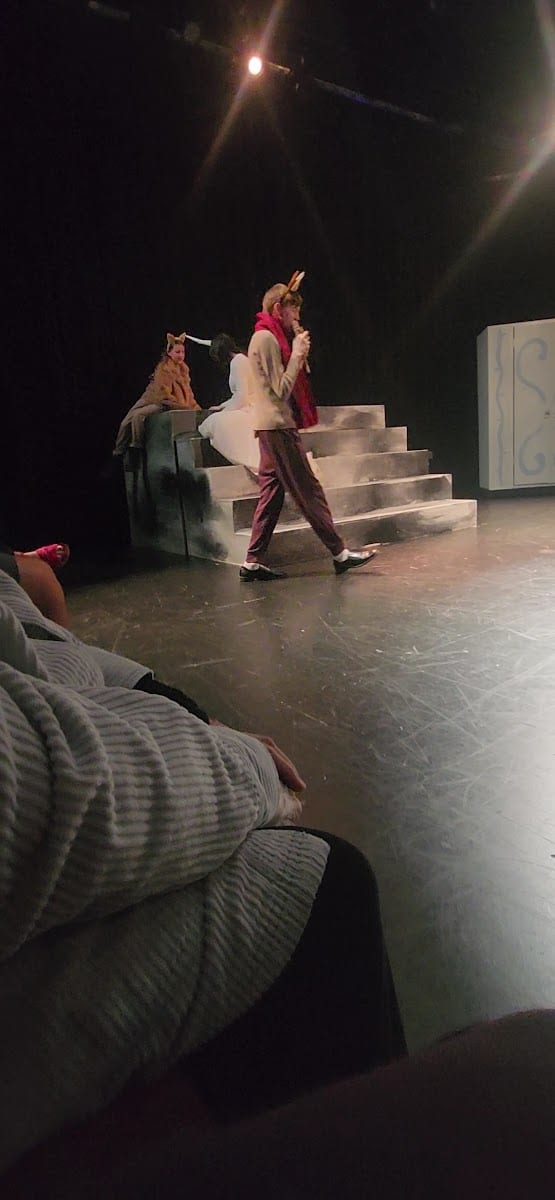 Creative Theatre Experience, photo 4