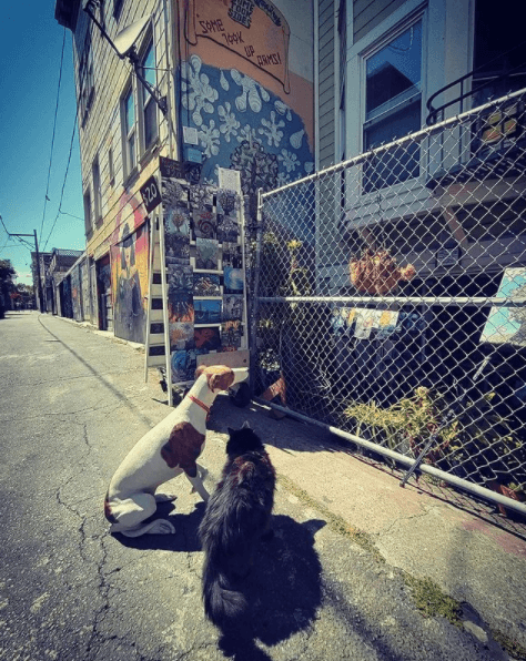 Doug Rhodes art studio