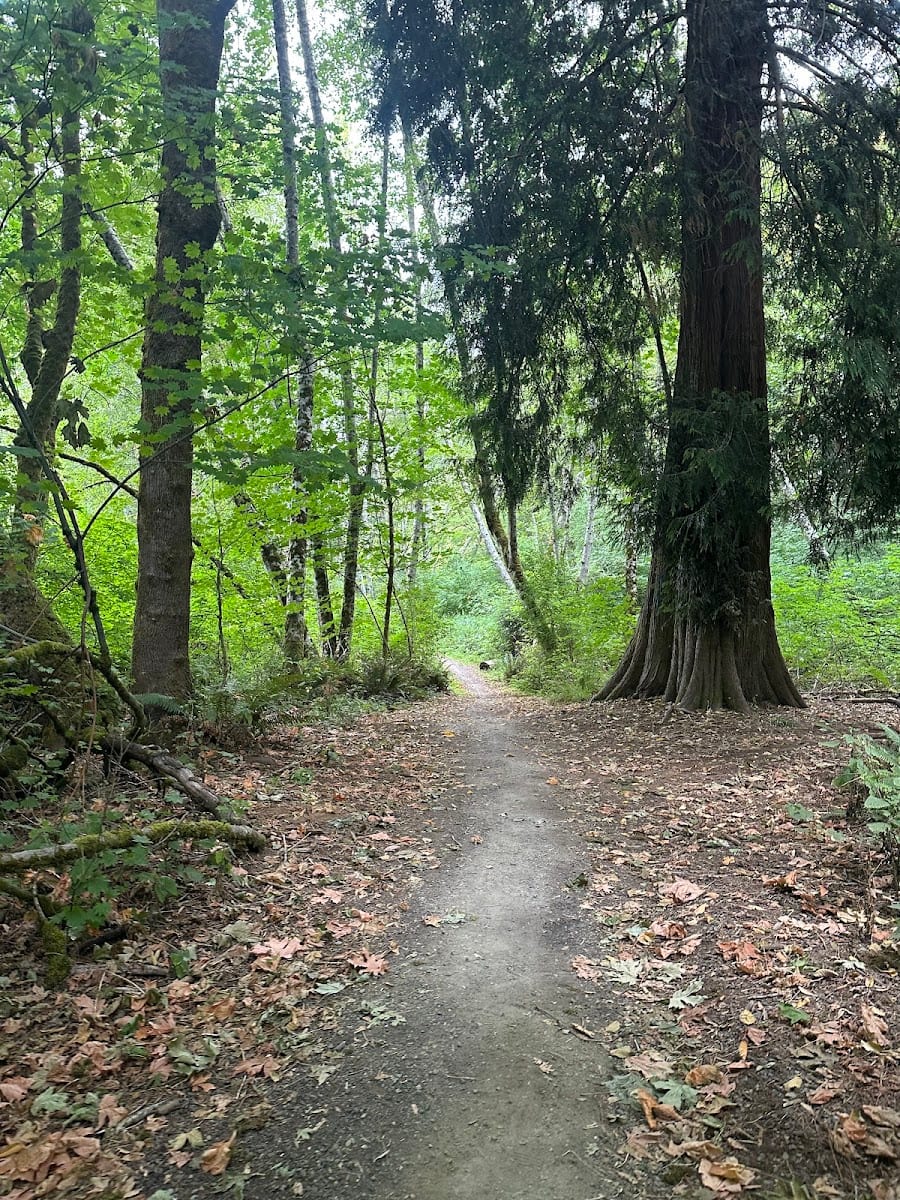 Karen Fraser Woodland Trail connection Onyx Street