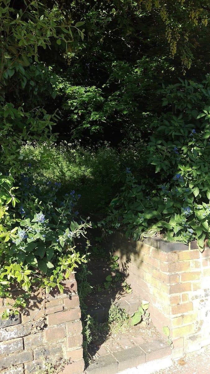 Clapham Wood, photo 2