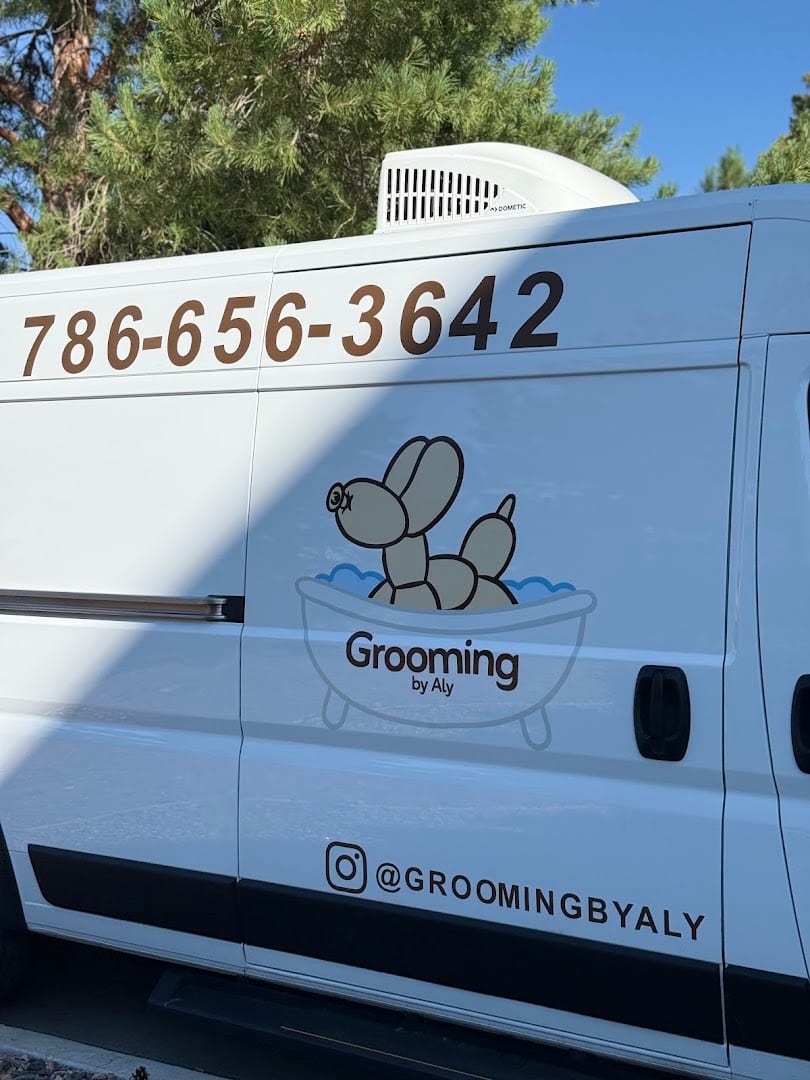 Grooming by Aly