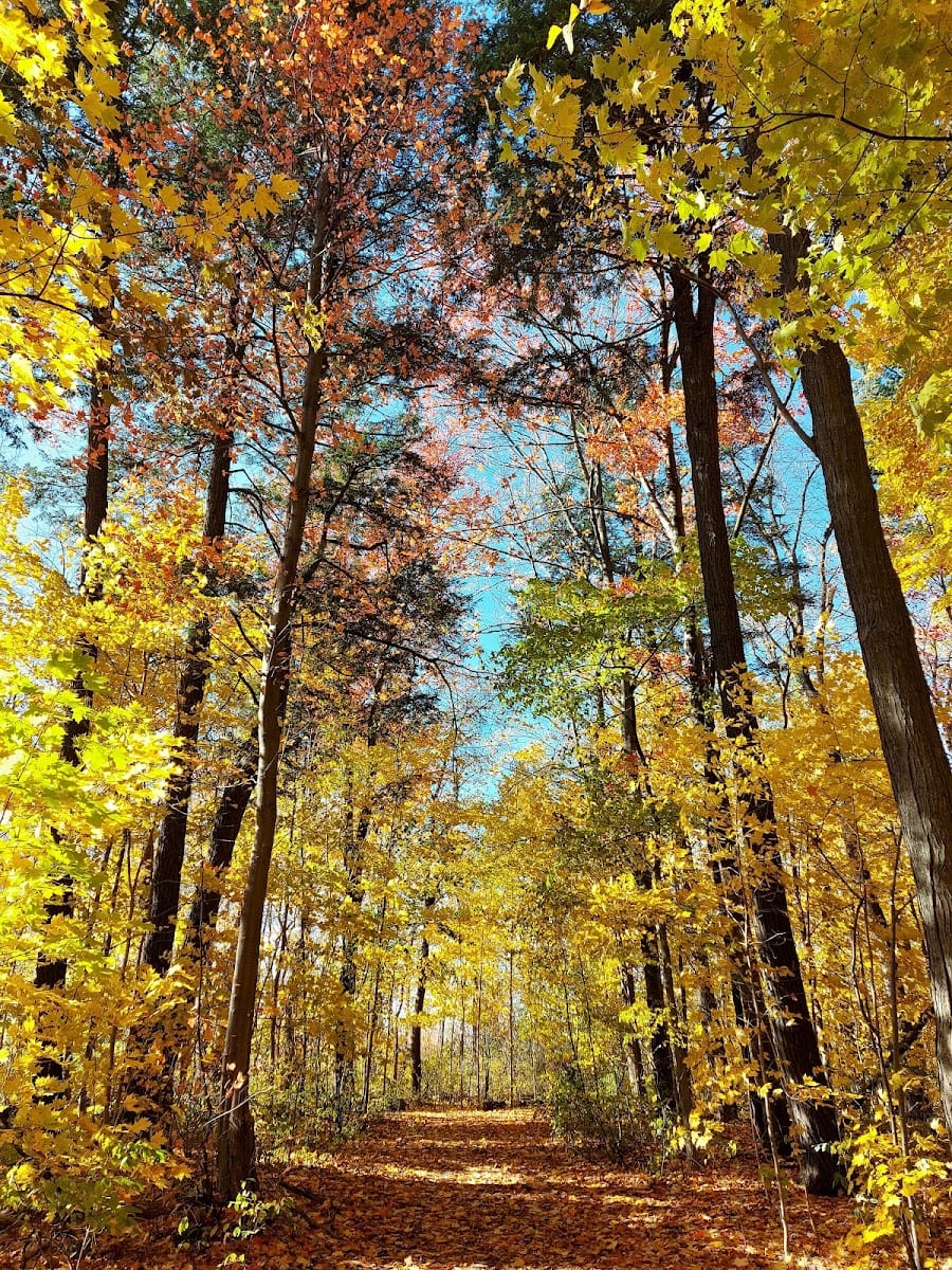 Horner Park
