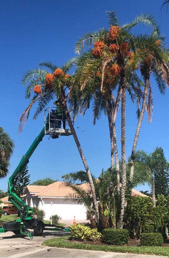 Premier Landscape Management, photo 4