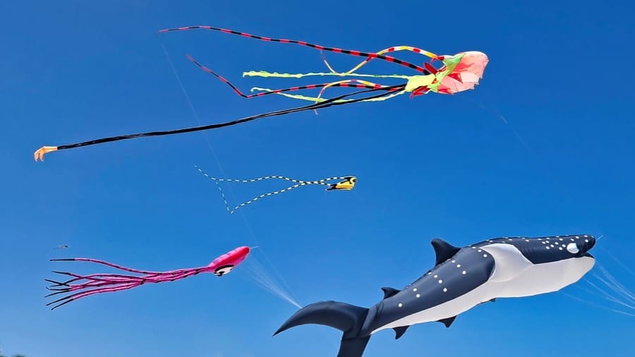 Puerto Morelos Takes to the Sky With Its First Kite Festival