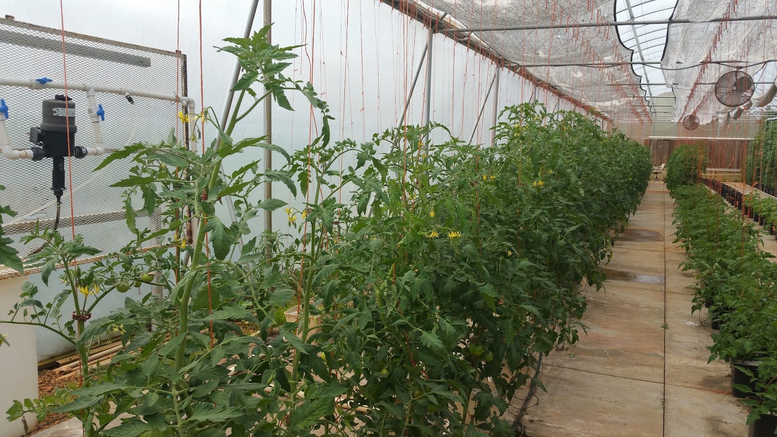 Hurricane Creek Farms