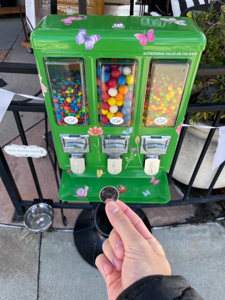 The Candy Machine, photo 2
