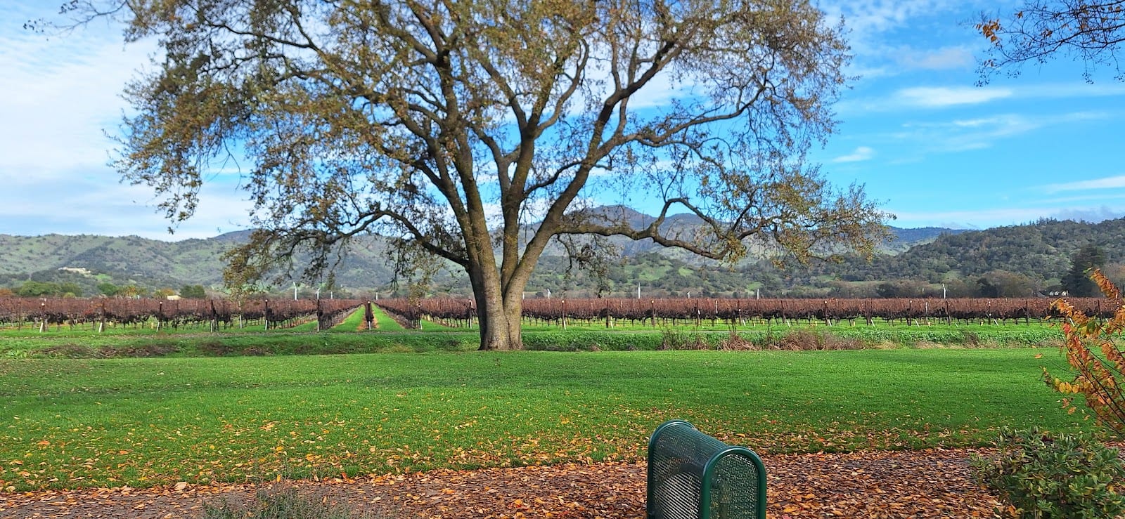 Vineyard Park Yountville, photo 3
