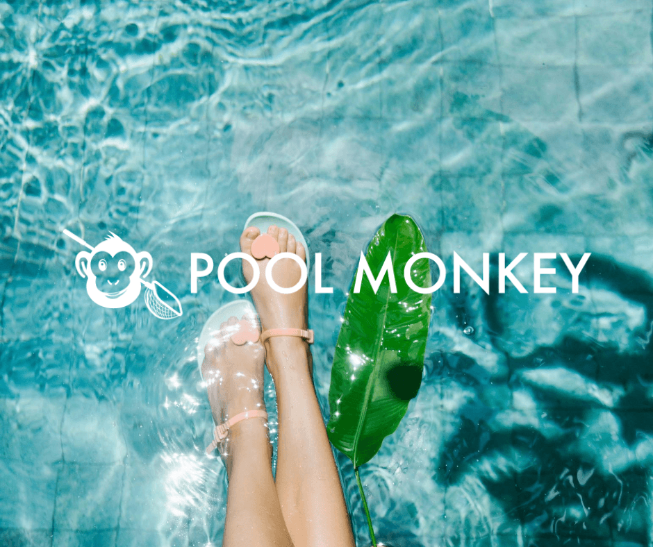 PoolMonkey, photo 2