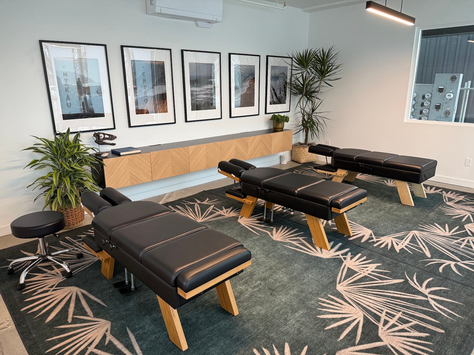 Nikau Chiropractic, photo 2