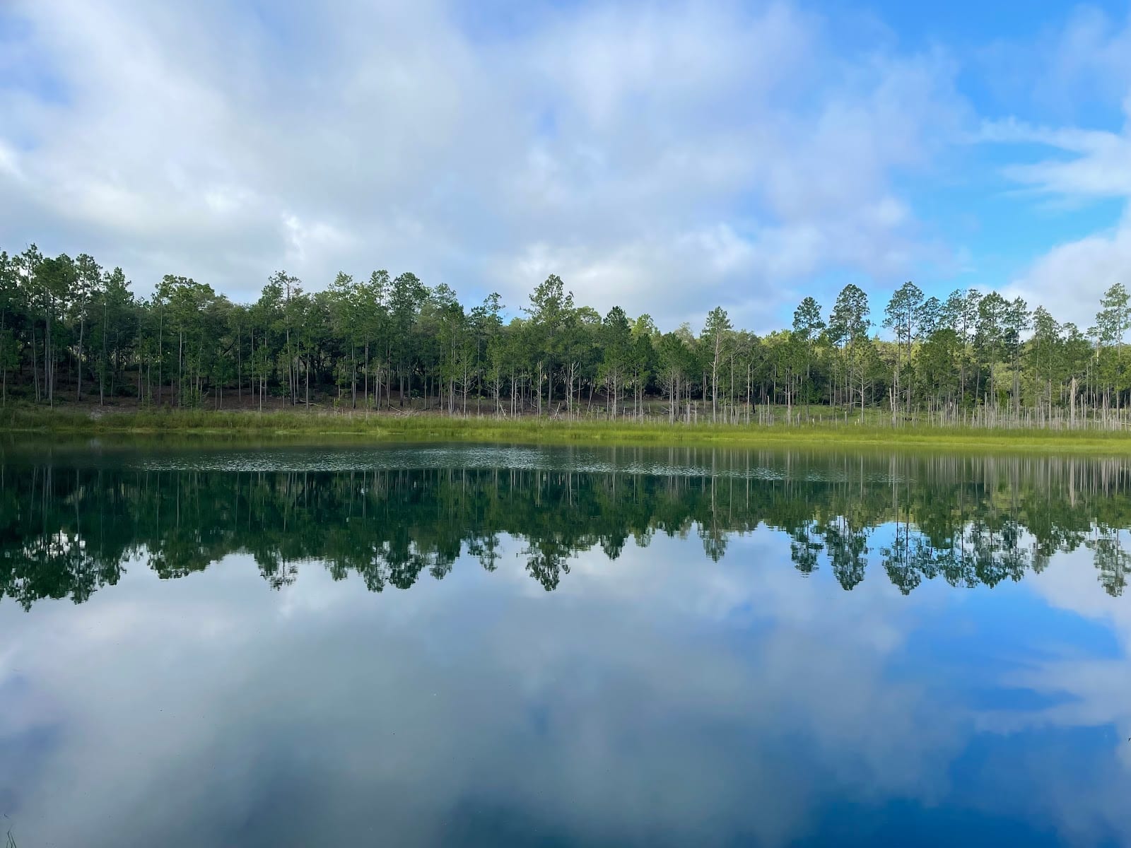 Florida Trail Treat Rd Trailhead