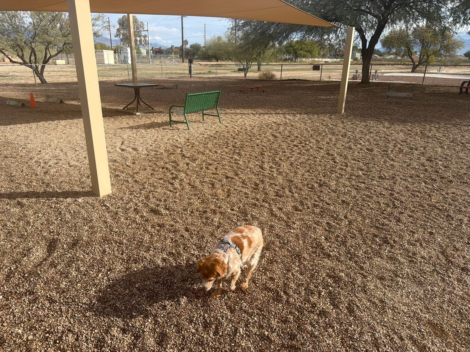 Agave Gulch FamCamp Dog Park