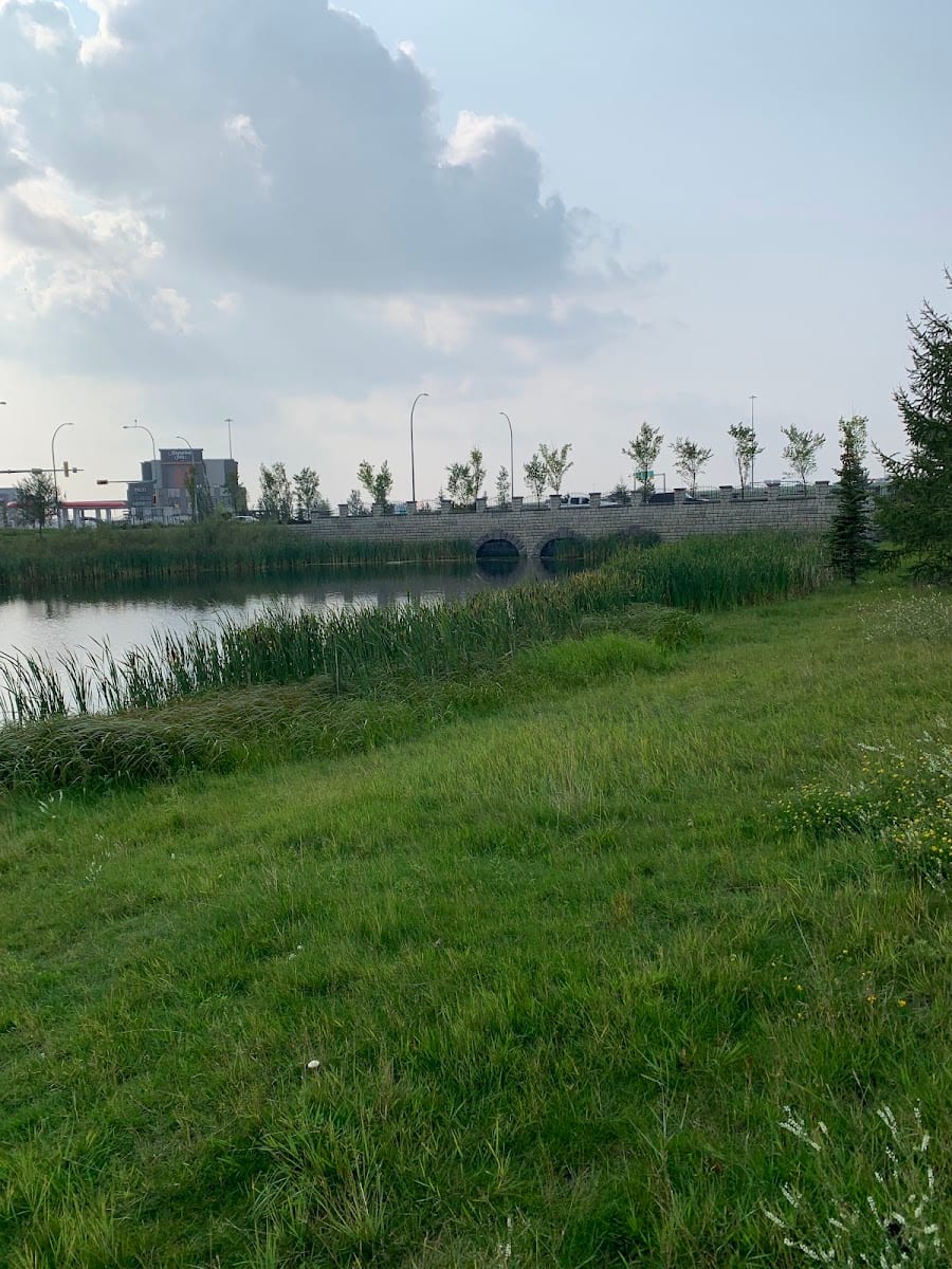 Emerald Hills Central Pond, photo 3