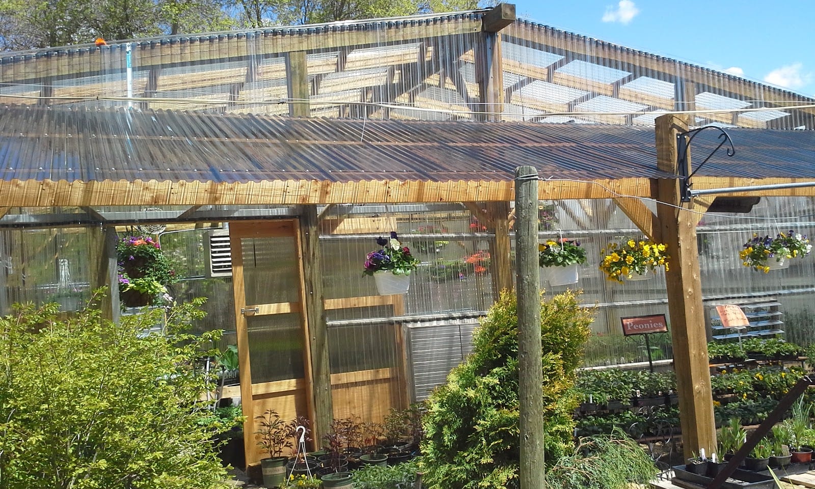 Fonnesbeck Greenhouse, photo 4