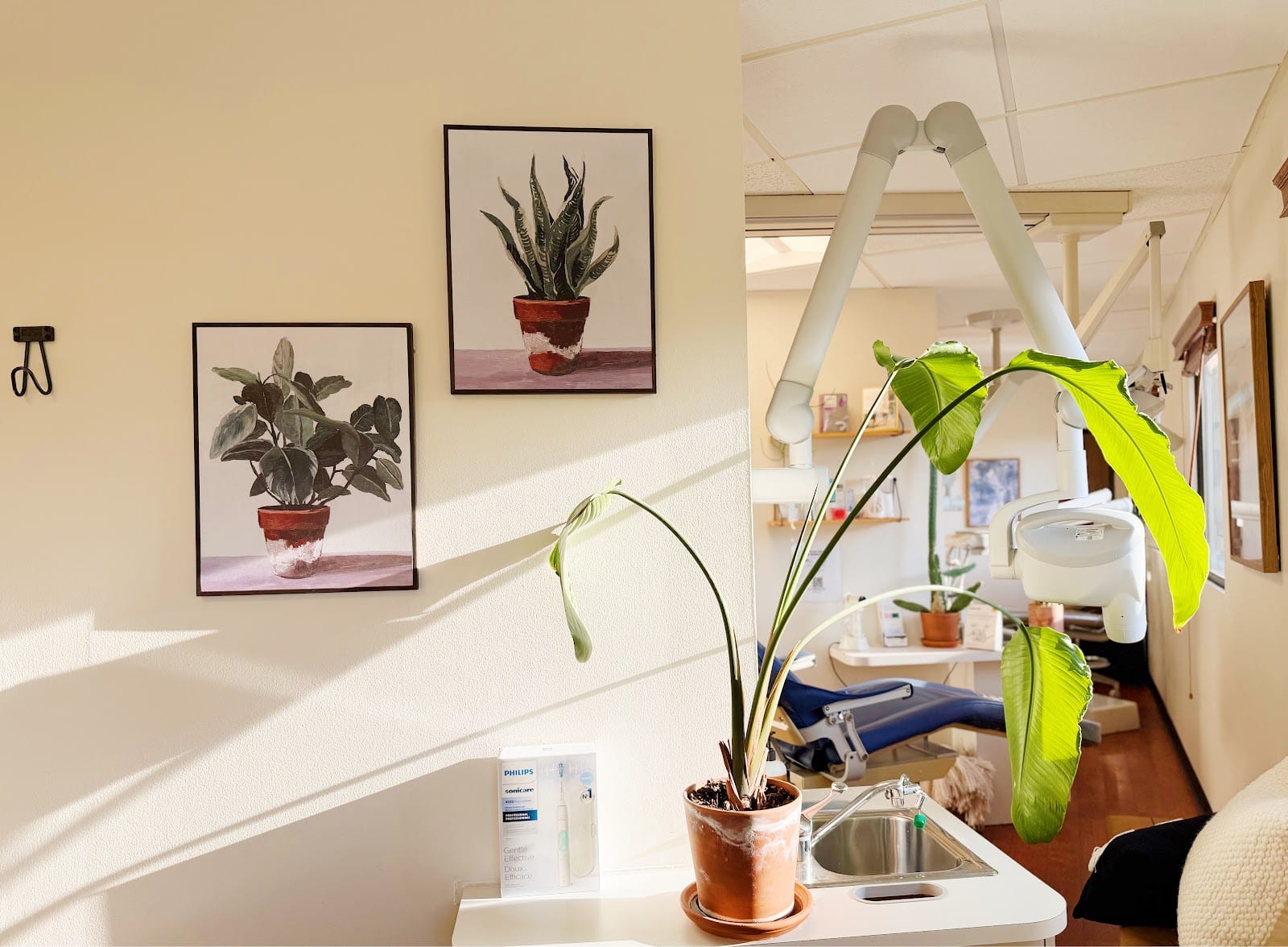 Orchard Dental Care, photo 2