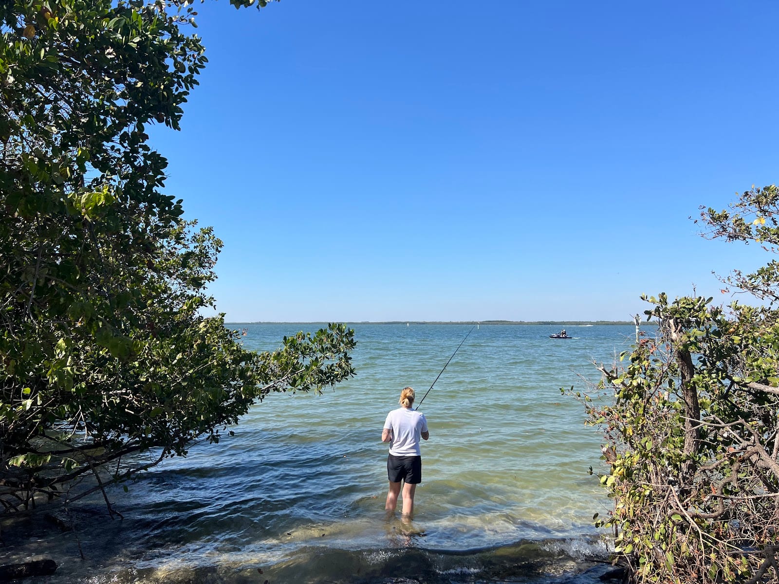 Courtney Campbell Causeway Bayside Fishing, photo 3