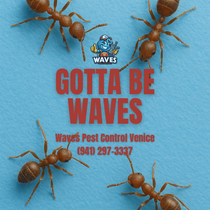 Waves Pest Control Venice, photo 4