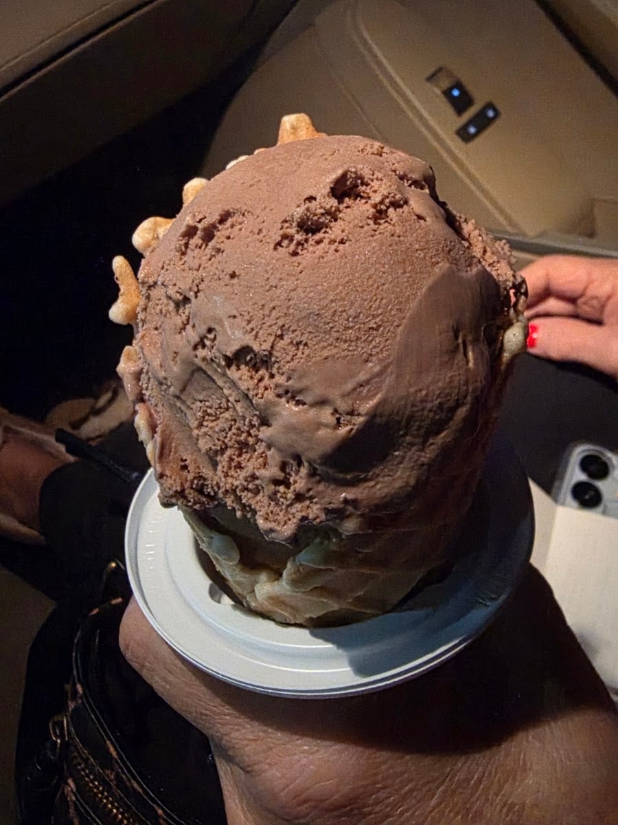 Bruster's Real Ice Cream - Anderson, photo 3