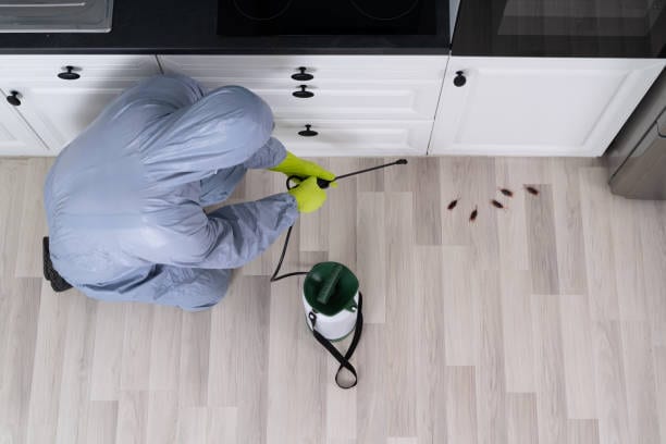 Pest Management Control, photo 3