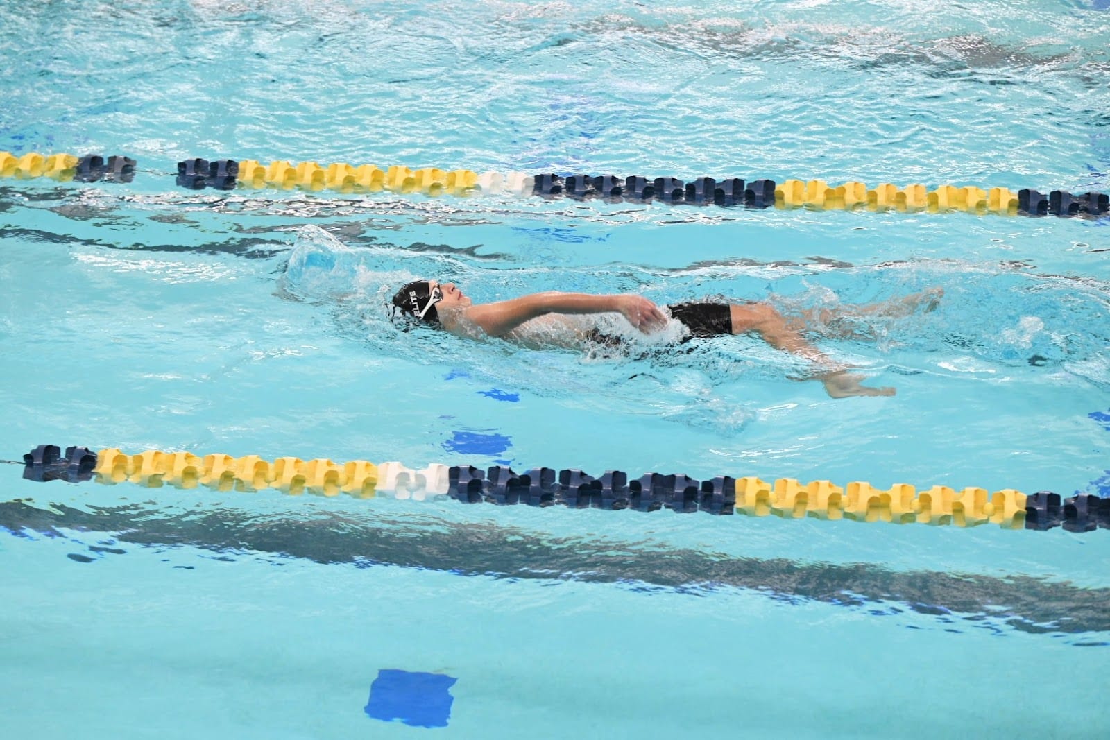 Texas Elite Swimming, photo 4
