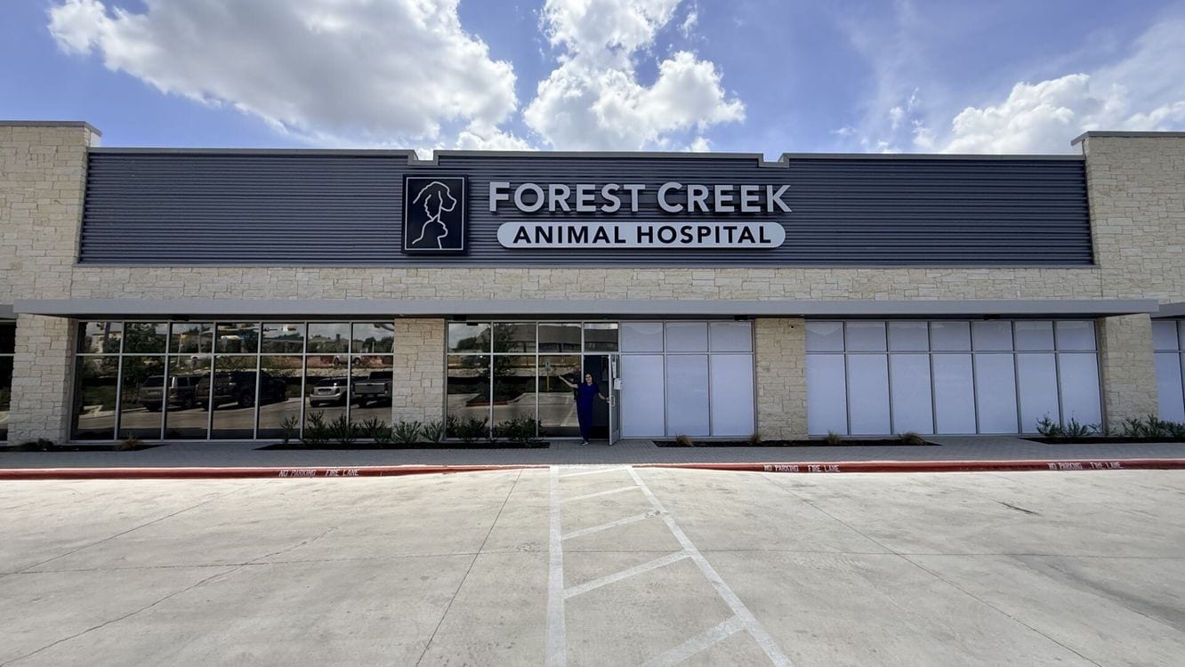 Forest Creek Animal Hospital, photo 2