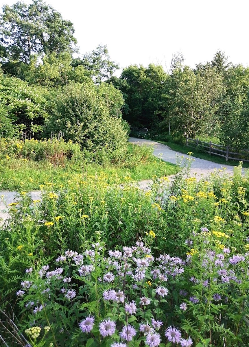 North York Bike Trail, photo 3