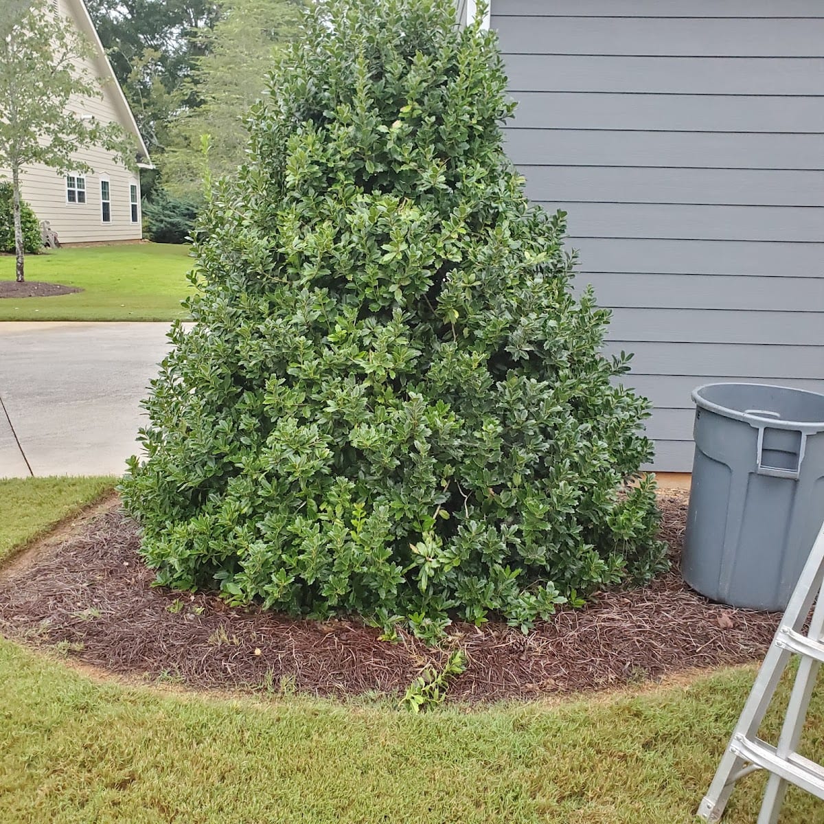 Watters & Associates Landscape