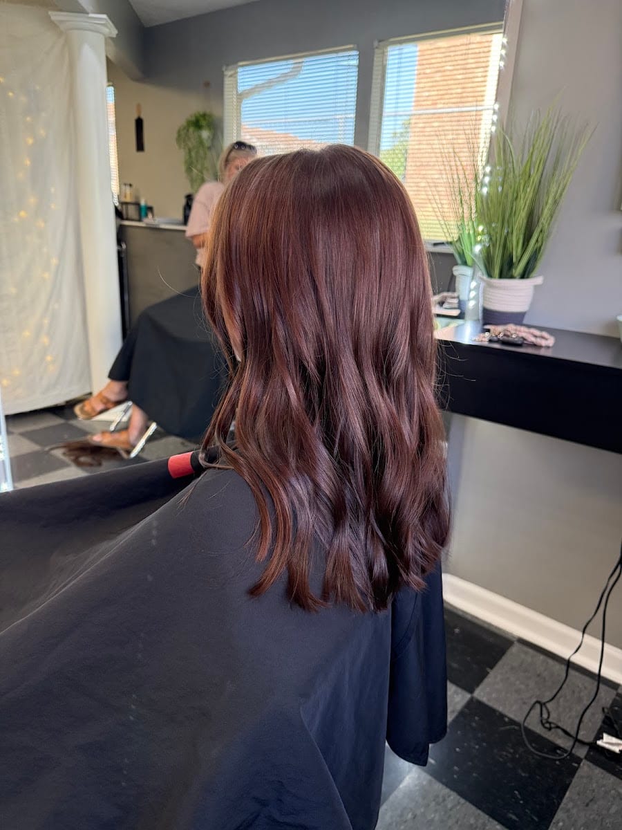 Salon Solay, photo 3