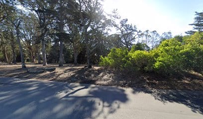 GGP Dog Play Area 3