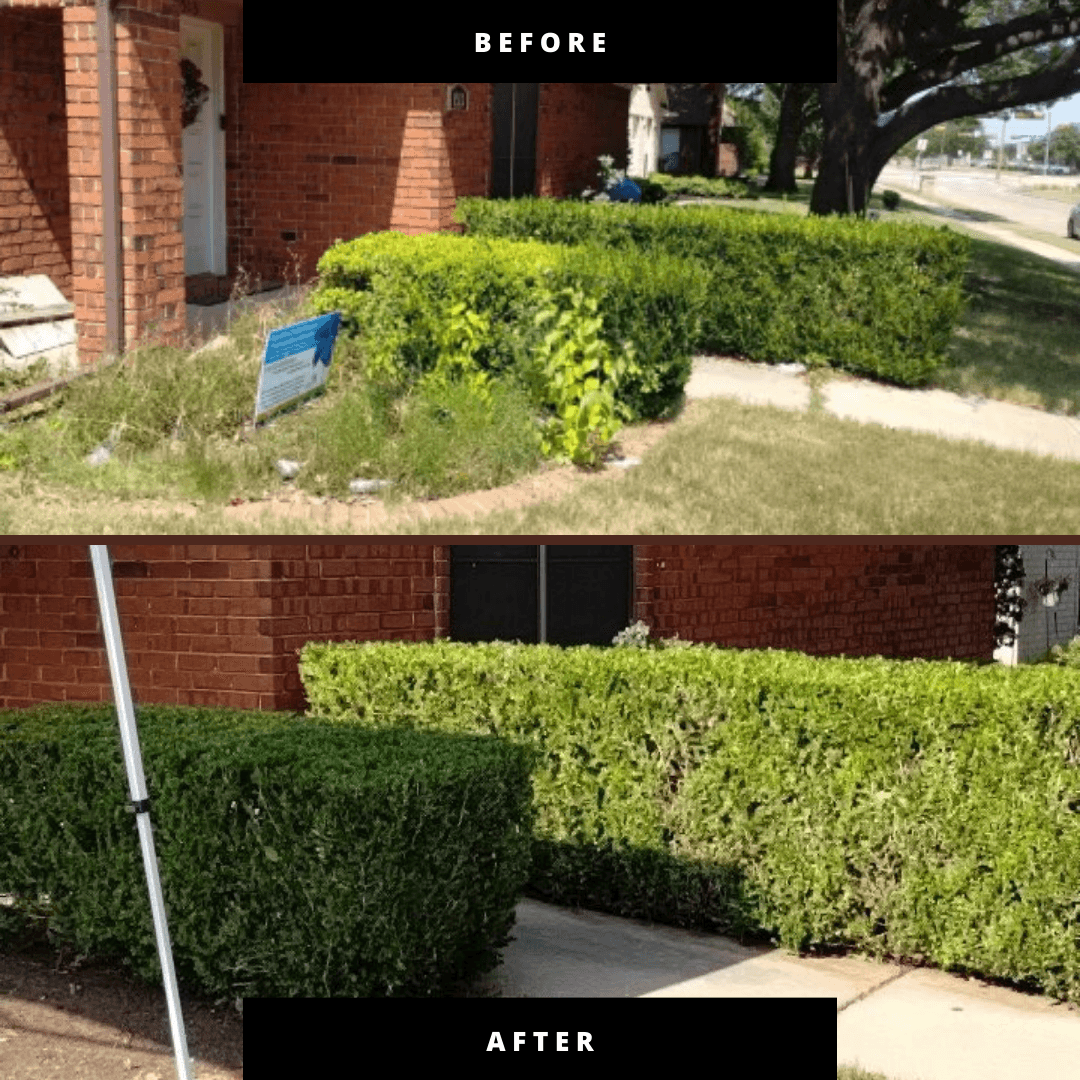TLC The Landscape Company, LLC