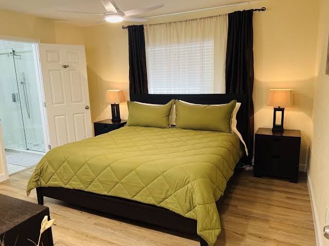 South Tampa Gem House with Home Office, Gym and Gazebo