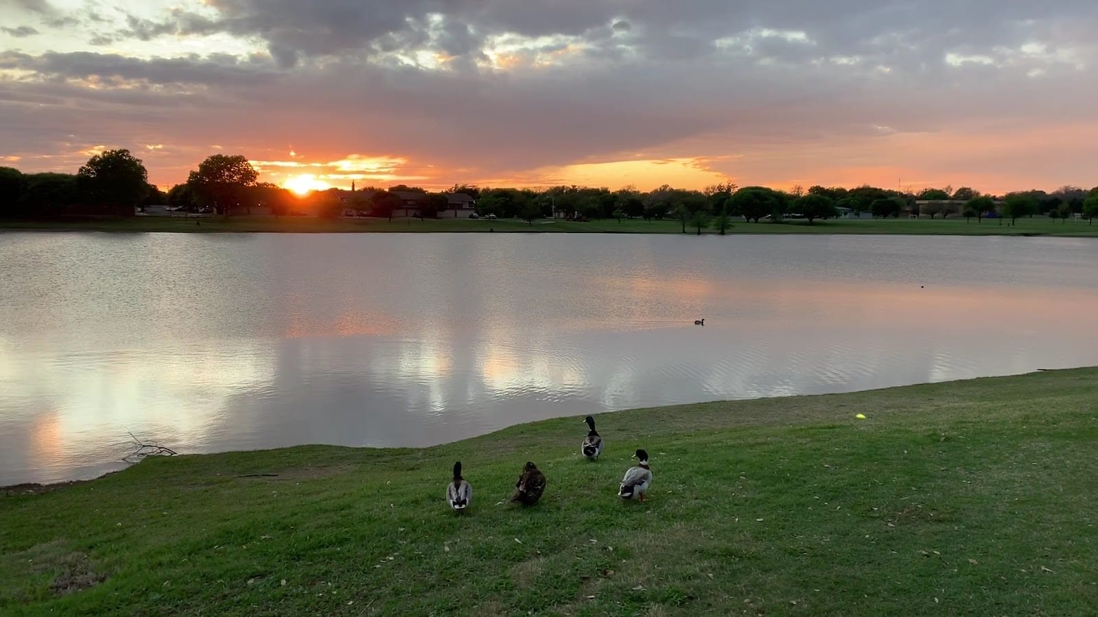 Leftwich Park, photo 2