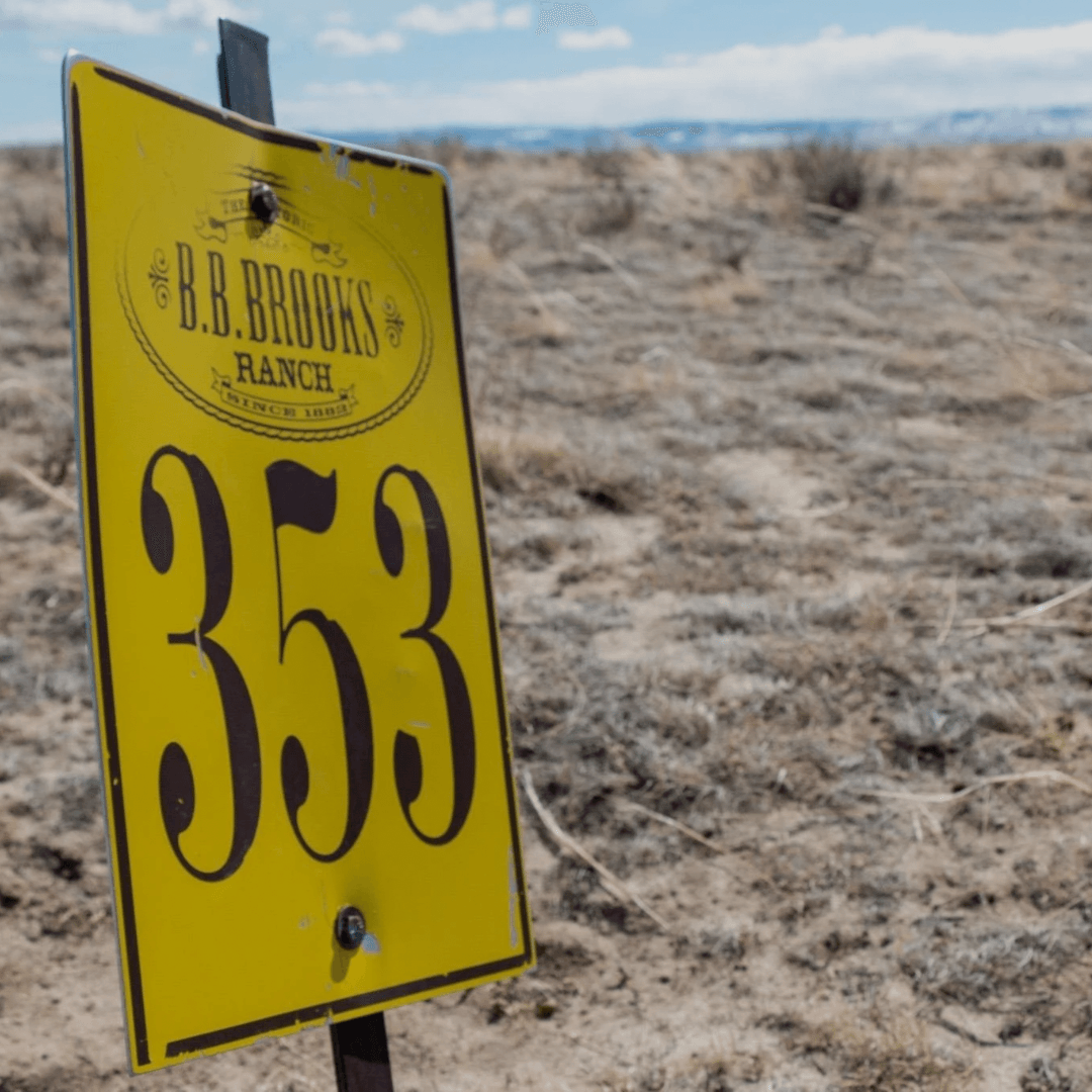 Black Tree Realty LLC, photo 2