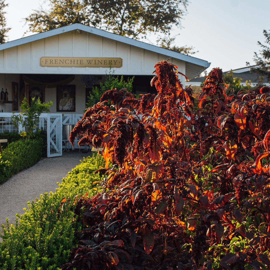 Raymond Vineyards, photo 3