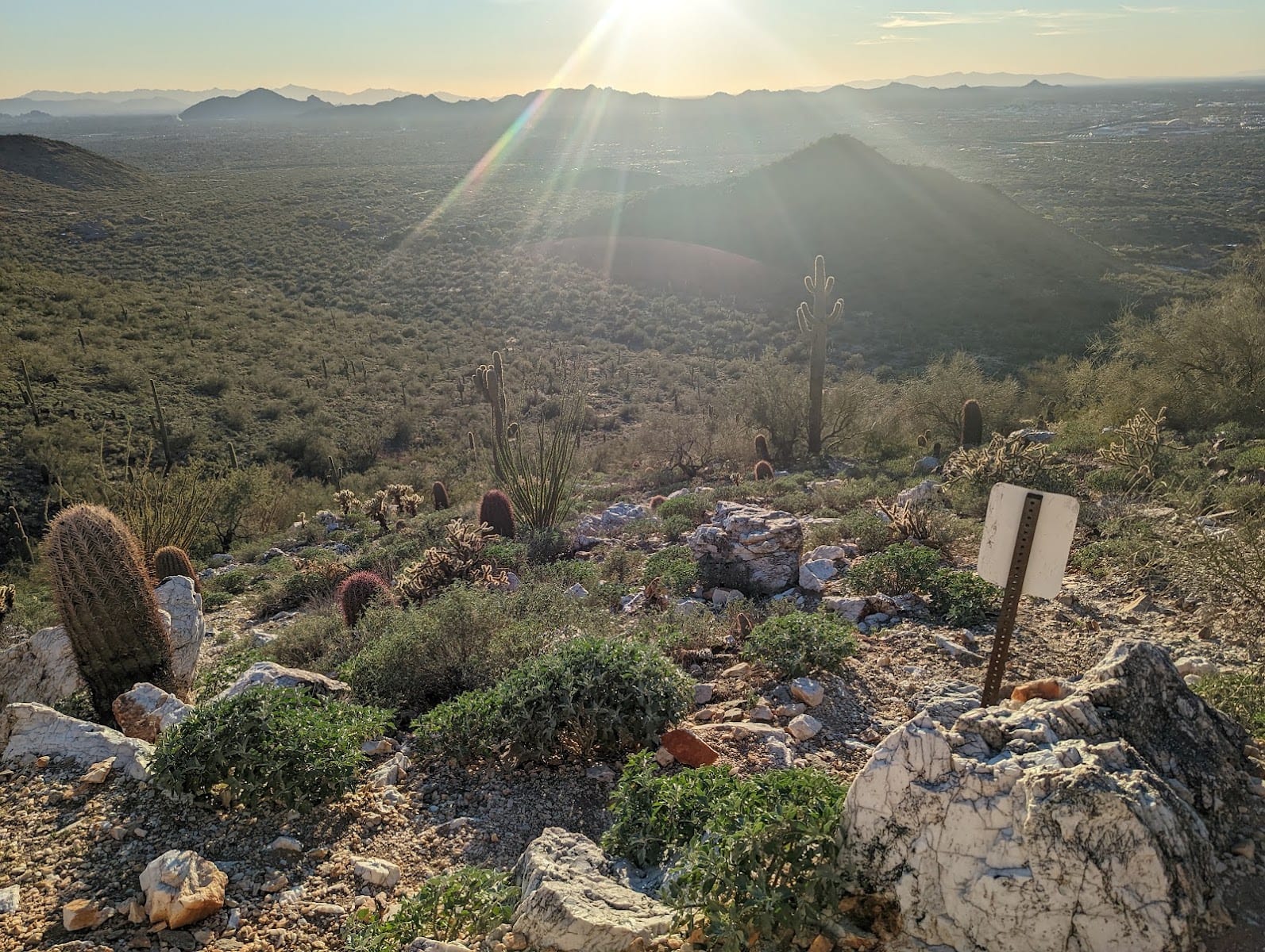 Quartz Trail Outcropping, photo 2