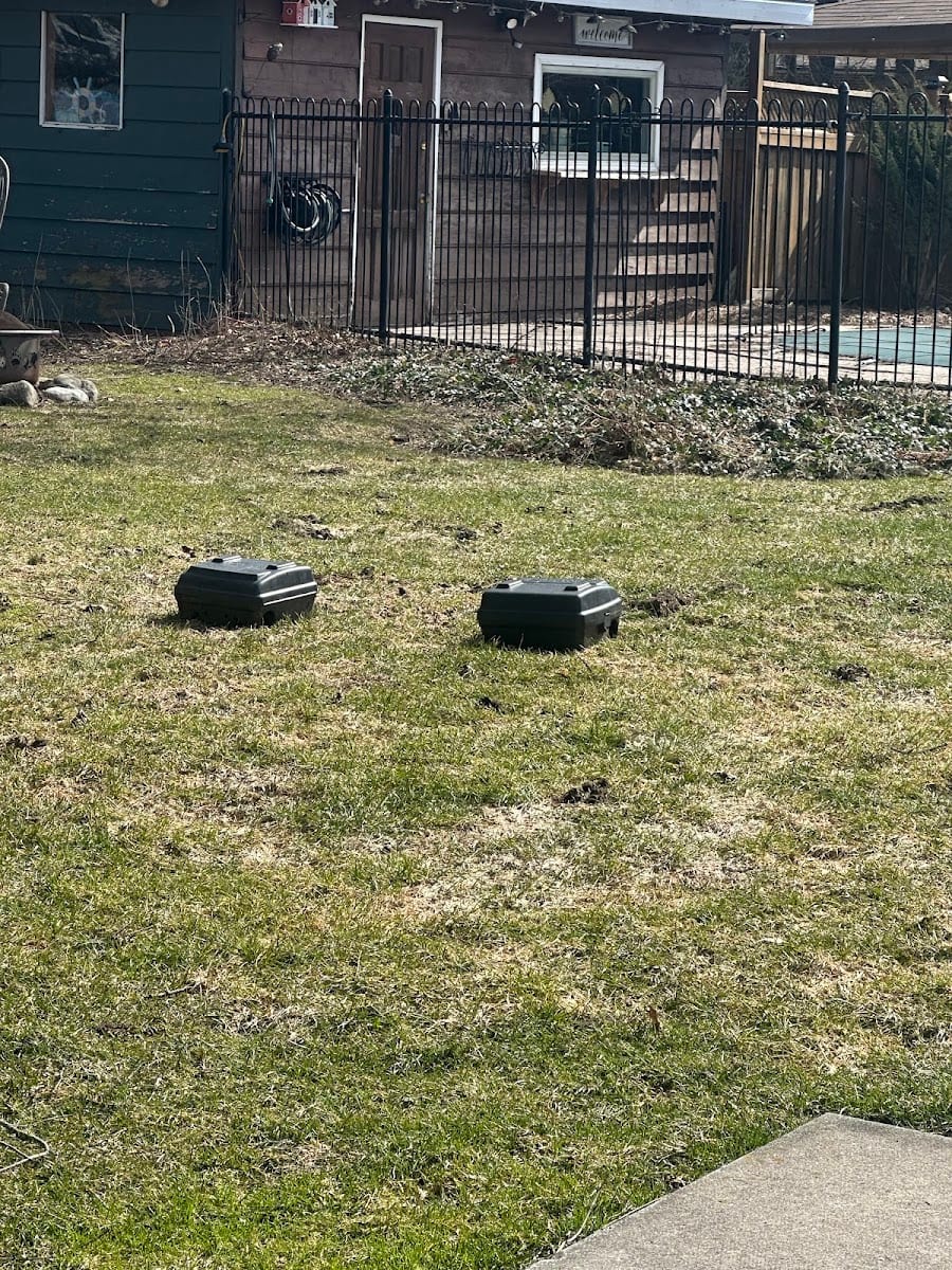 Quality pest control gta Richmond hill, photo 4