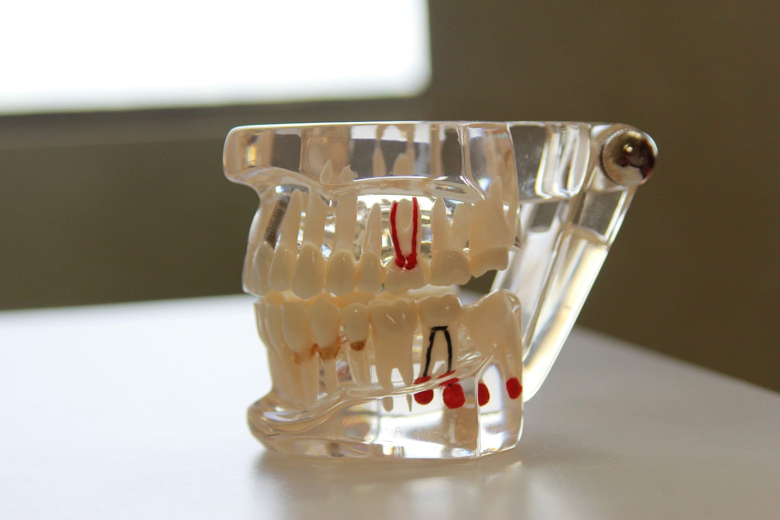 BayView Dental Associates, photo 4