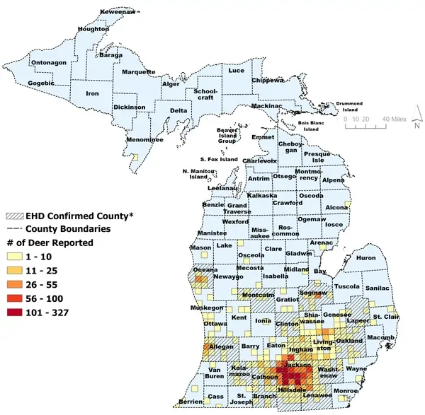 DNR Confirms EHD in Calhoun County Deer