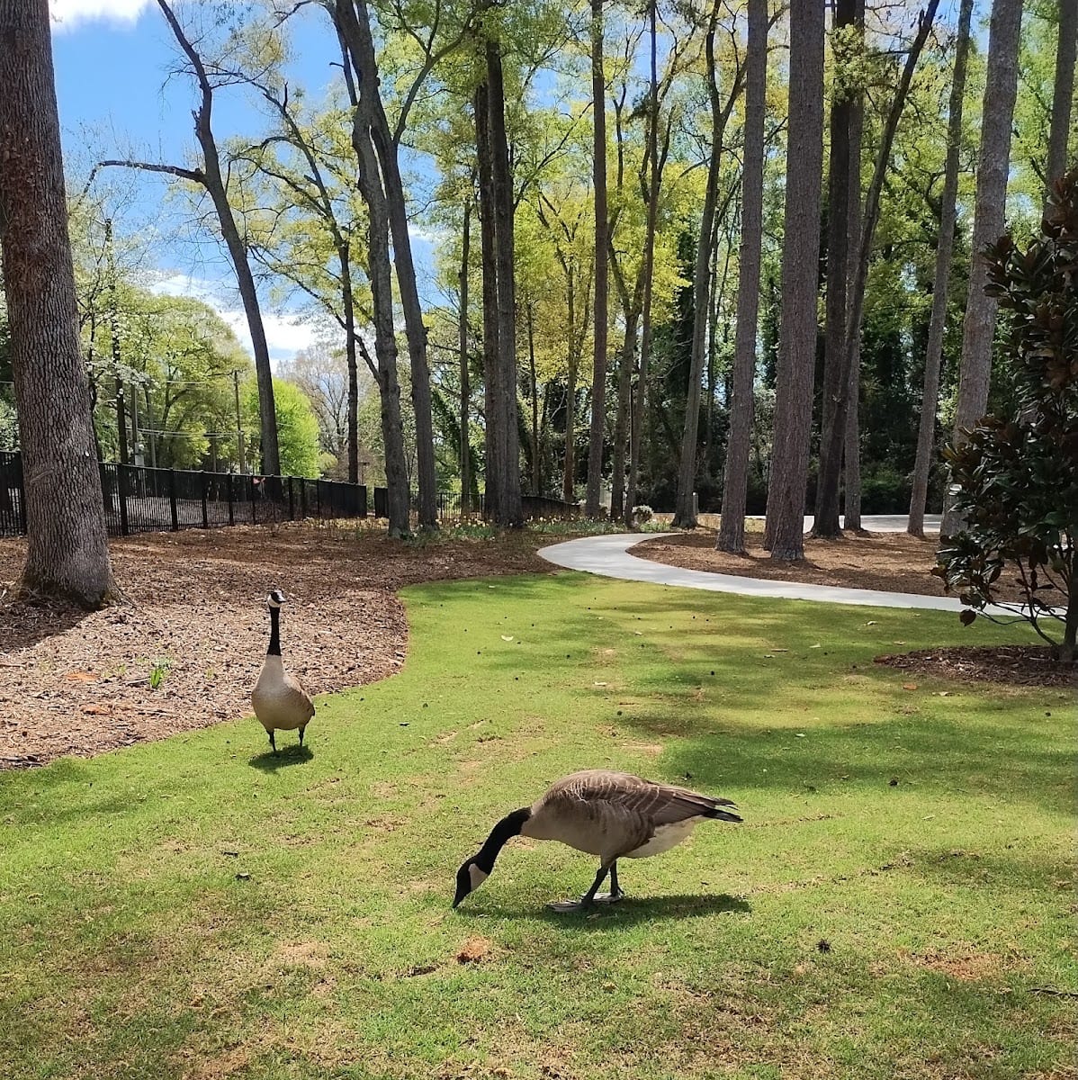 Cater's Lake Park