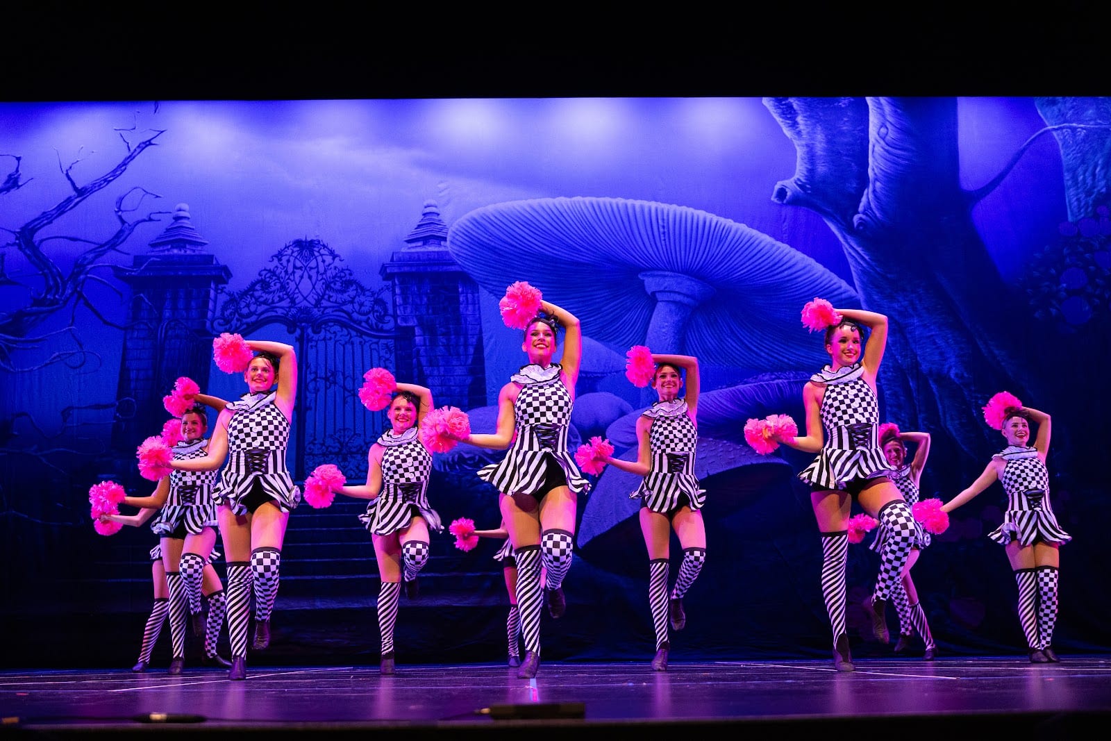 DC Dance AZ