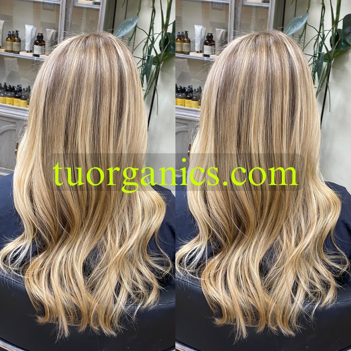Tu Organics Salon, photo 2