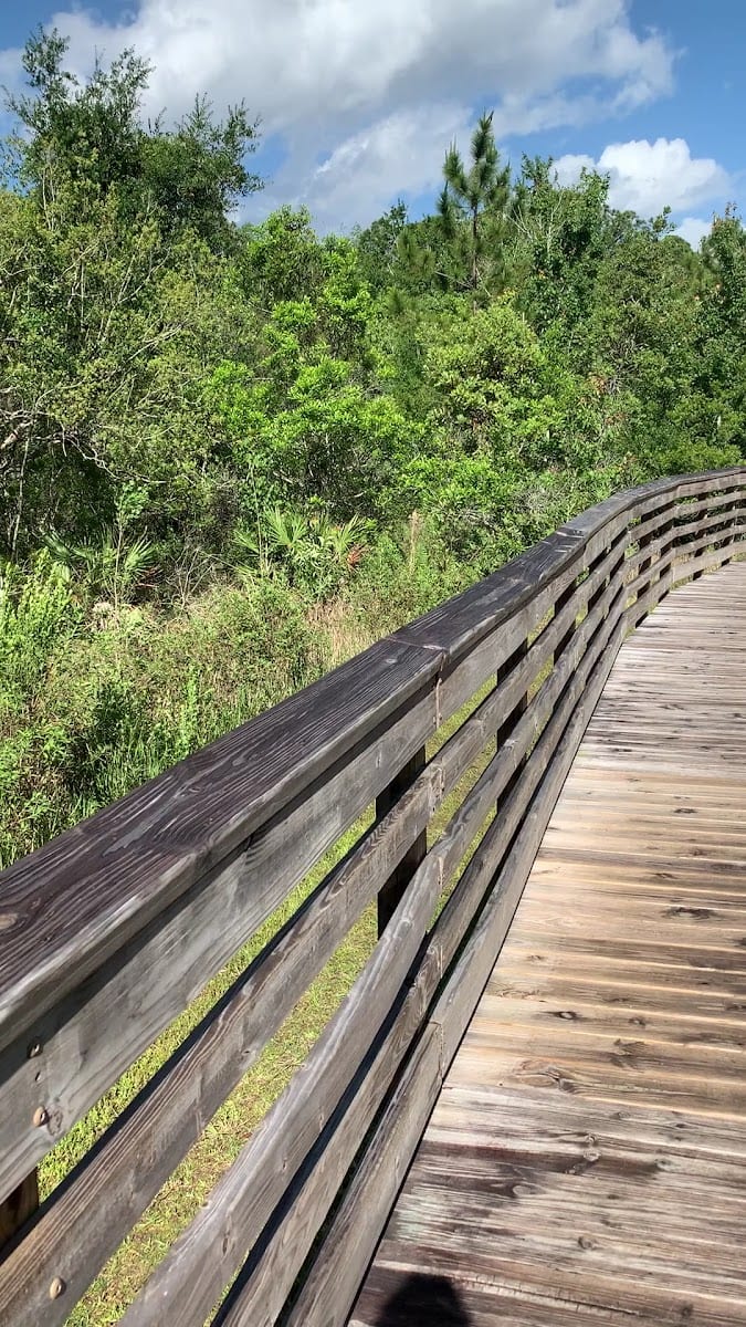 New Tampa Nature Park, photo 2