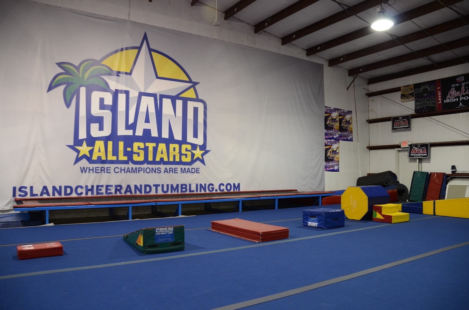 Island All-Stars Main, photo 4