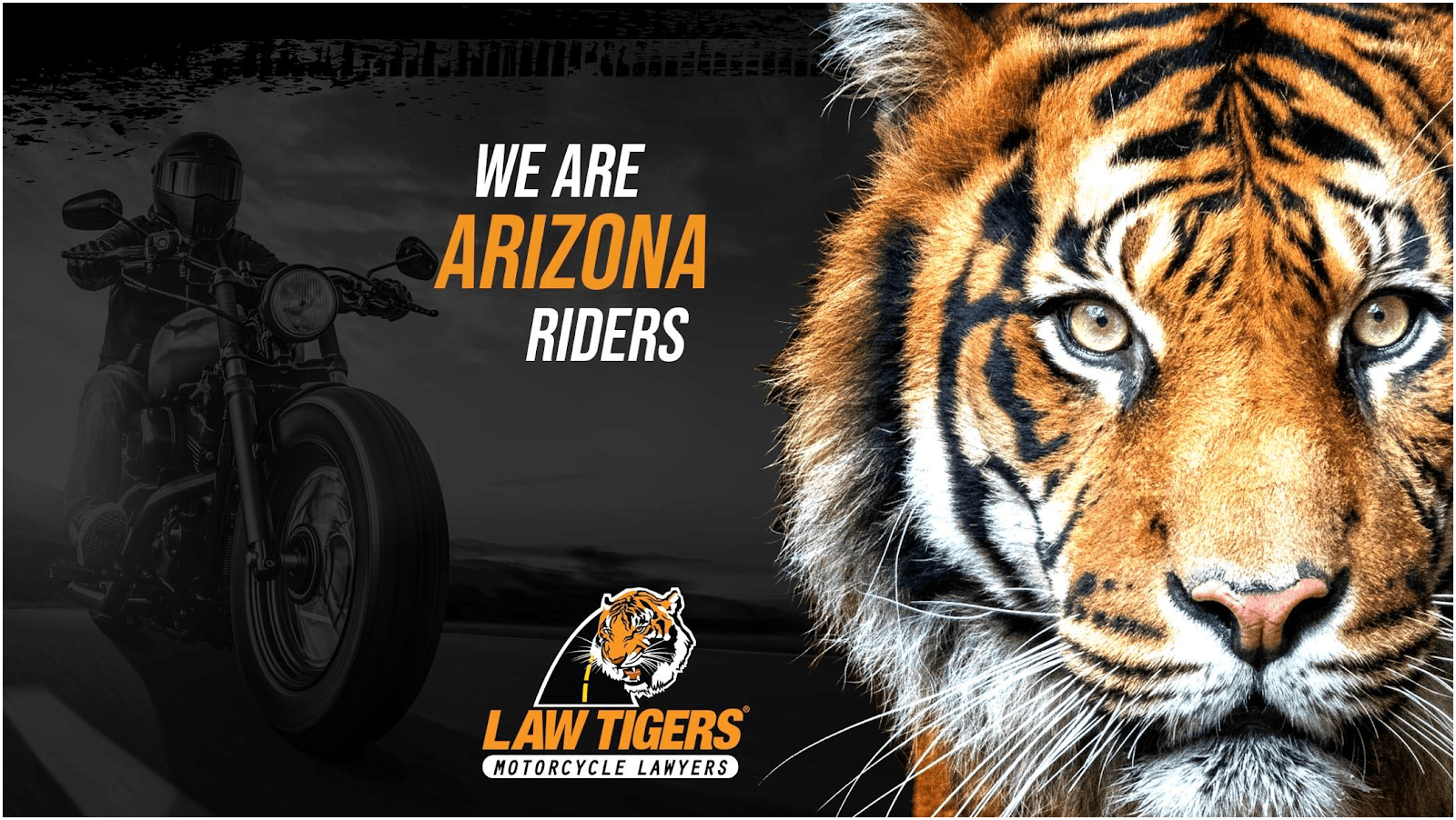 Law Tigers, photo 2