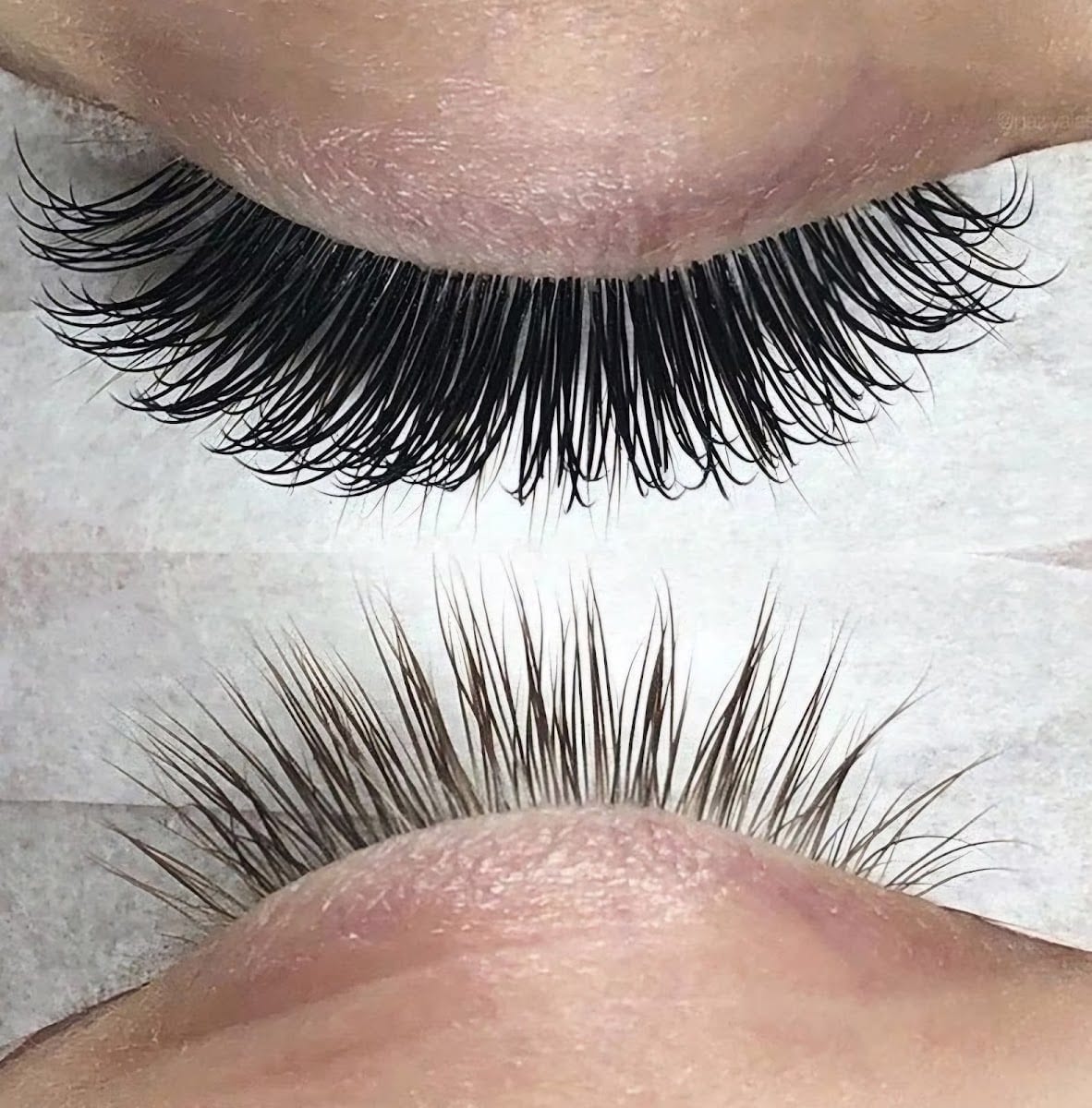 Beauty Concepts Lashes and Brows, photo 3