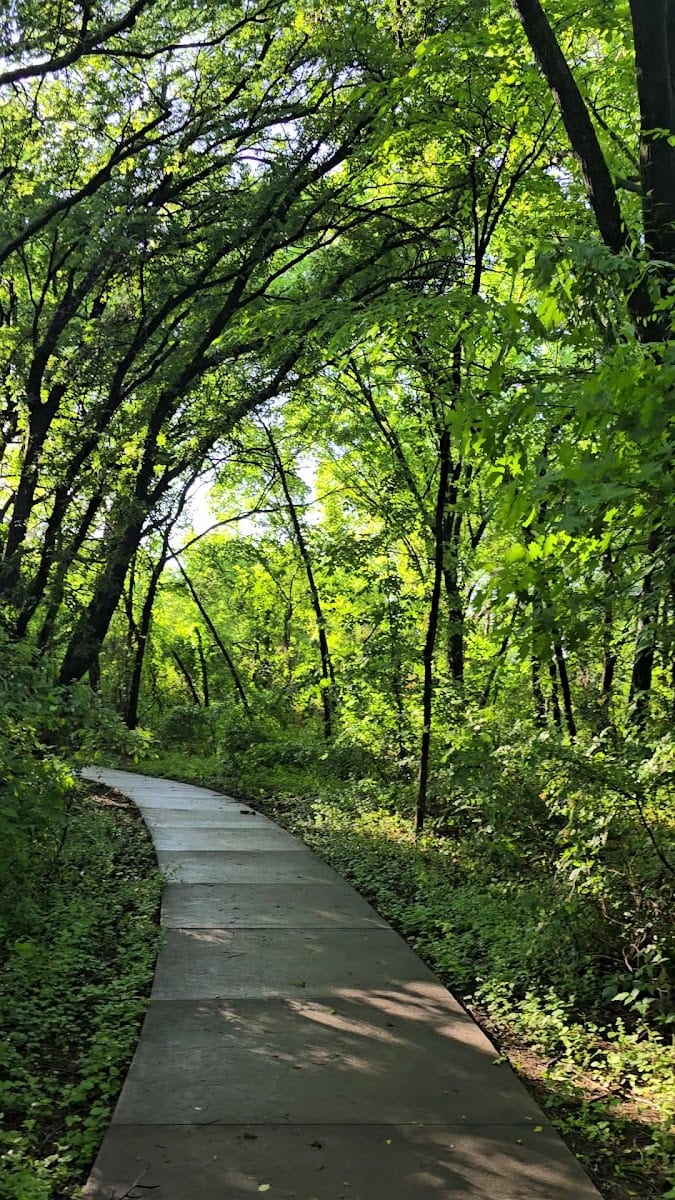Frisco Commons Park Meadow, photo 2
