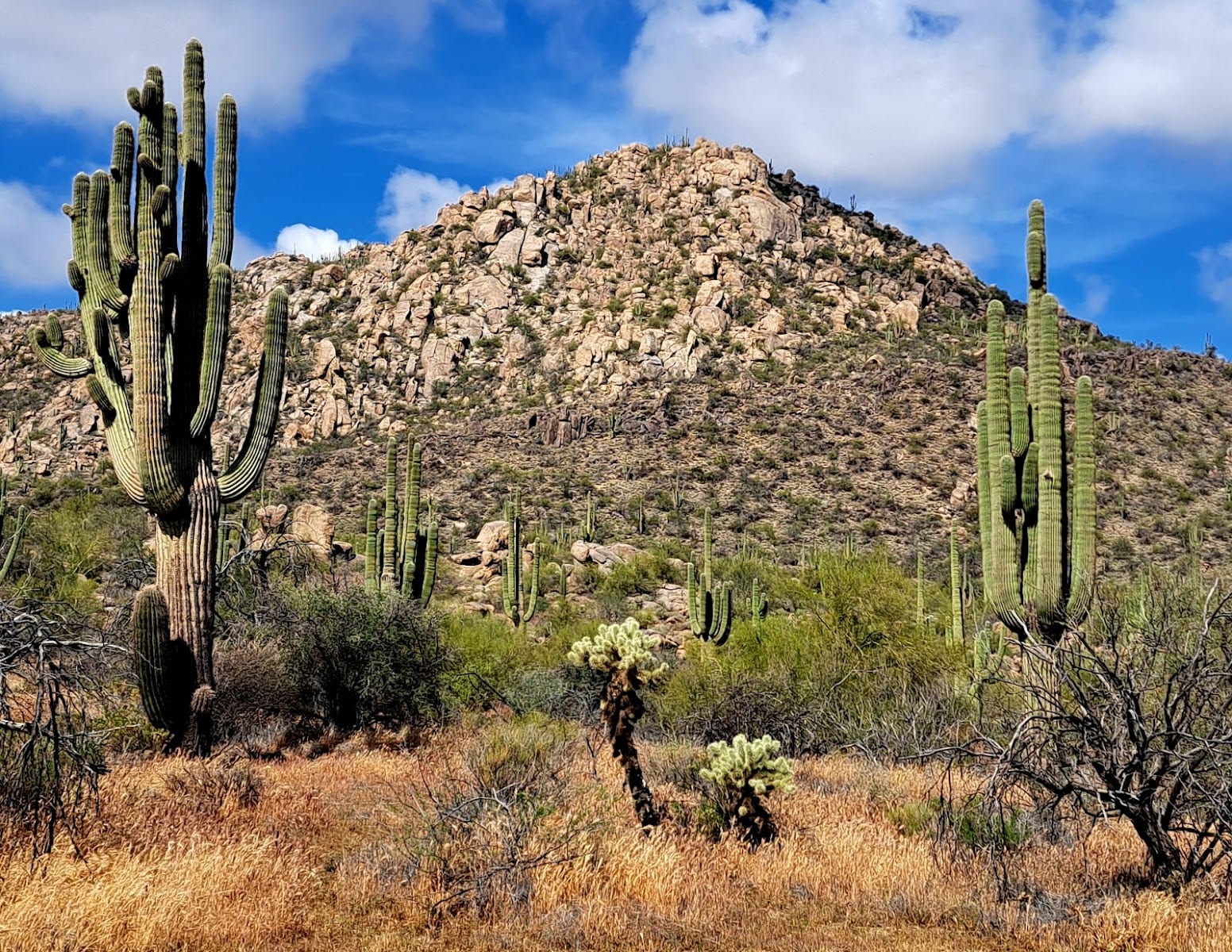 Granite Mountain Trailhead