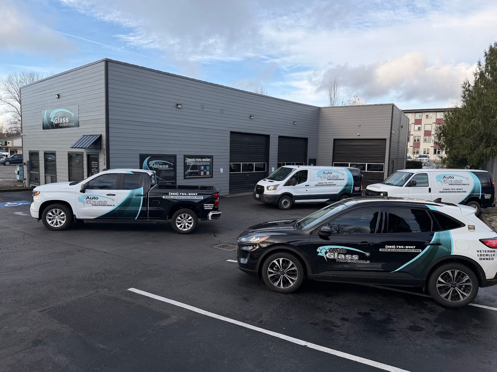 Auto Glass Professionals