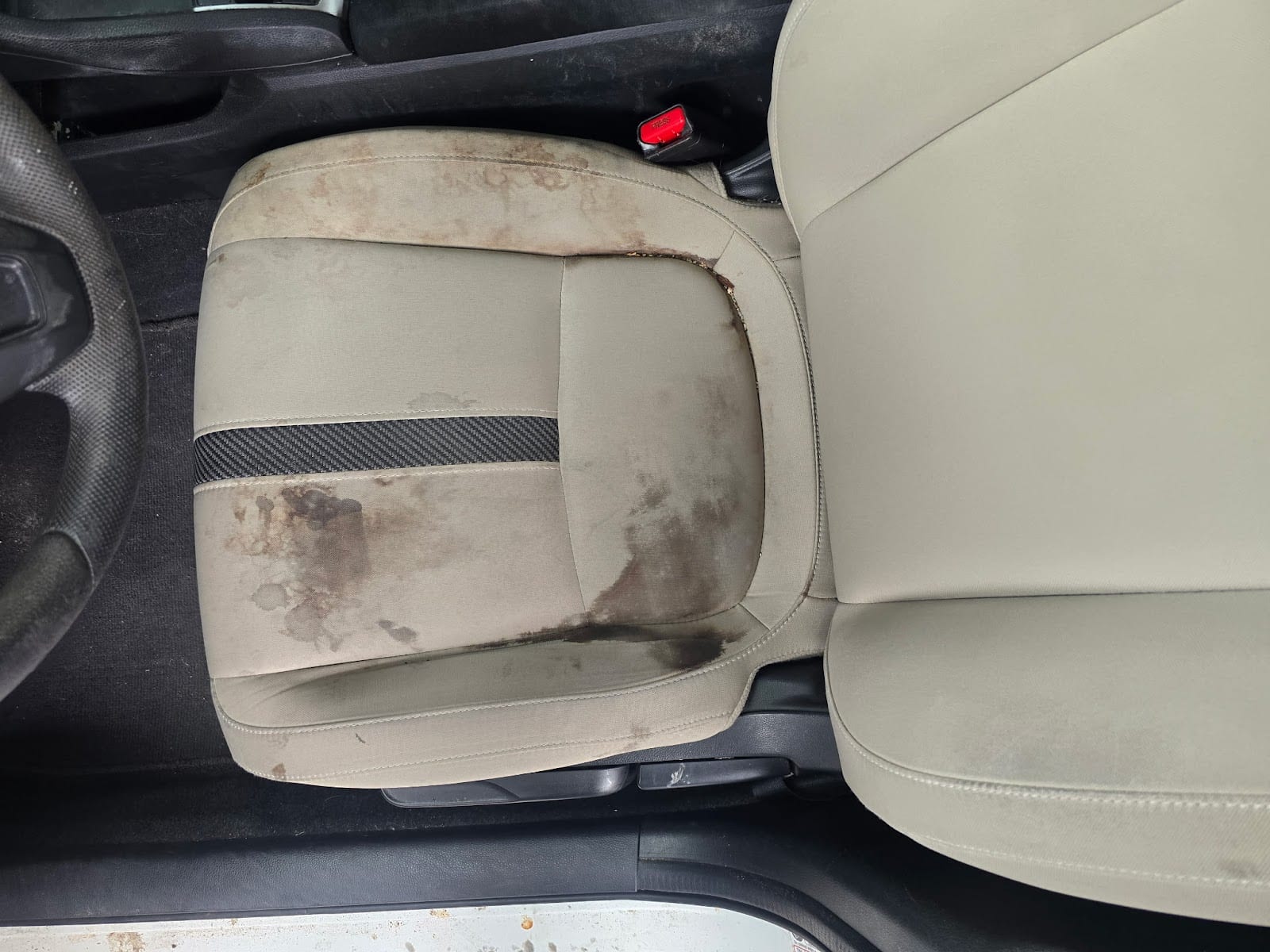 Paul's Mobile Detailing, photo 3