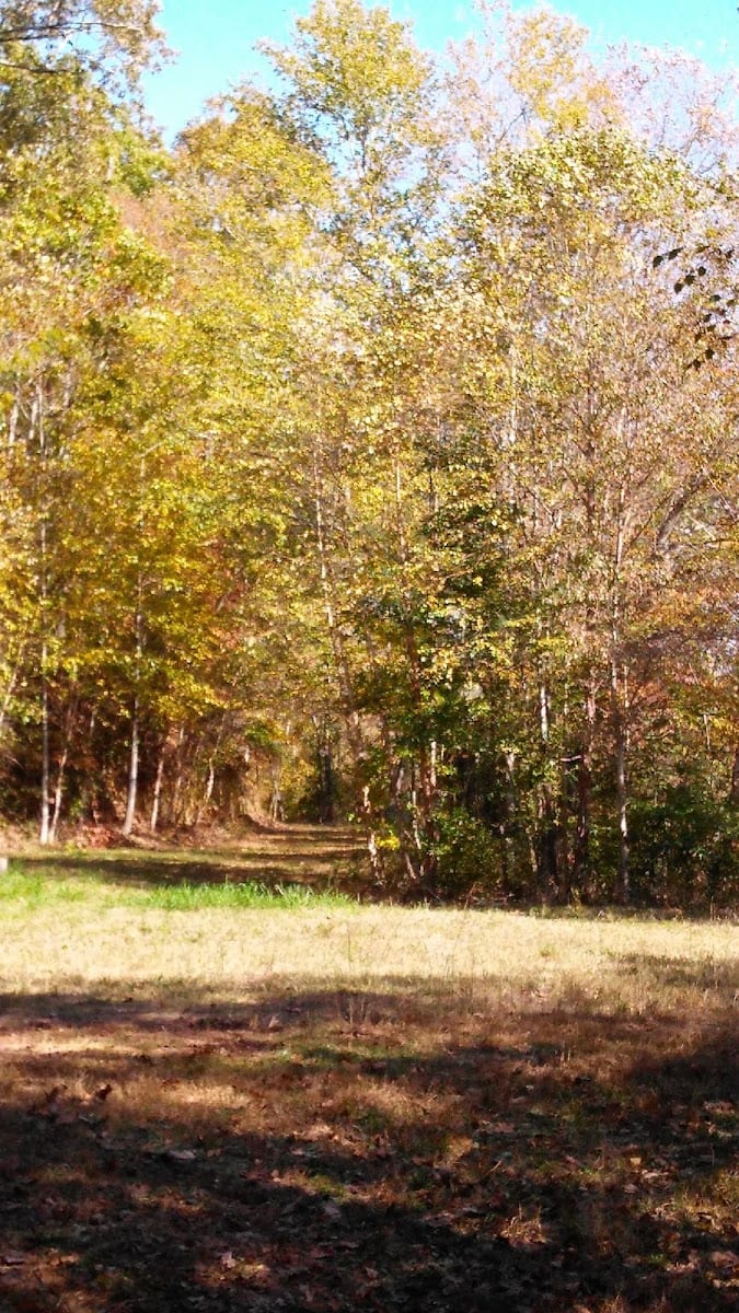 Rocky Creek Village